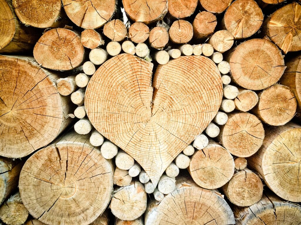 heart, wood, logs, bole, firewood, pieces of timber, woodpile, wooden, timber, forestry, texture, deforestation, material, wood pile, stacked, heart shape, heart, heart, heart, wood, wood, wood, wood, wood