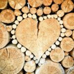 heart, wood, logs, bole, firewood, pieces of timber, woodpile, wooden, timber, forestry, texture, deforestation, material, wood pile, stacked, heart shape, heart, heart, heart, wood, wood, wood, wood, wood